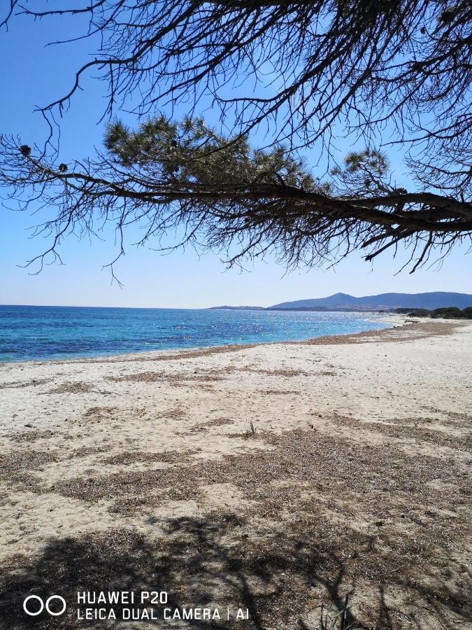 Casa Turquoise Blue Βίλα Porto Ottiolu Εξωτερικό φωτογραφία