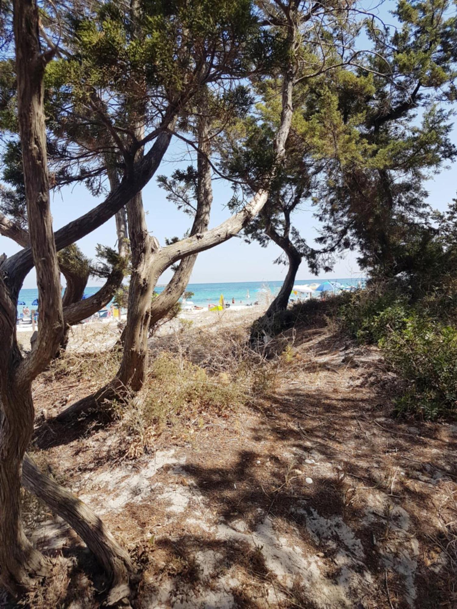 Casa Turquoise Blue Βίλα Porto Ottiolu Εξωτερικό φωτογραφία